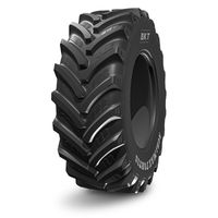 600/70R30 BKT AGRIMAX FORTIS 161A8/158D R1W TL